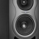 KALI IN 5 Studio Monitor 3 KALI IN 5 Studio Monitor 3