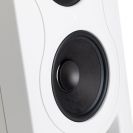 KALI LP 5 Woofer KALI LP 5 Woofer