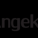 Logo Angekis