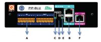 Pip Blu2